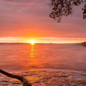 欧美和黑人口交的视频
